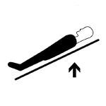 Trendelenburg Reverso